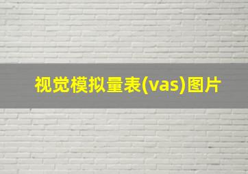 视觉模拟量表(vas)图片