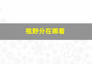 视野分在哪看