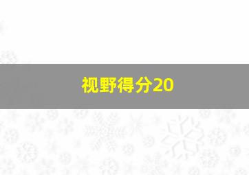 视野得分20