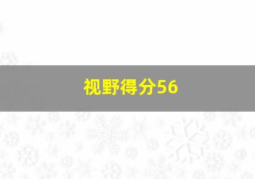 视野得分56