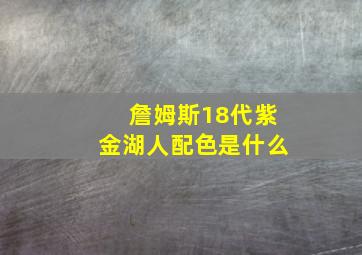 詹姆斯18代紫金湖人配色是什么