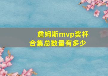 詹姆斯mvp奖杯合集总数量有多少