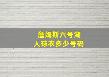 詹姆斯六号湖人球衣多少号码