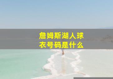 詹姆斯湖人球衣号码是什么