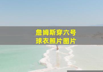 詹姆斯穿六号球衣照片图片