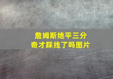 詹姆斯绝平三分奇才踩线了吗图片