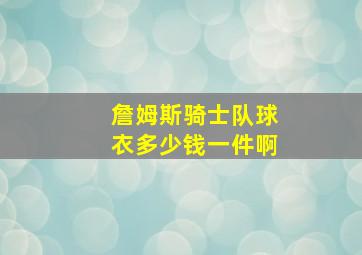 詹姆斯骑士队球衣多少钱一件啊