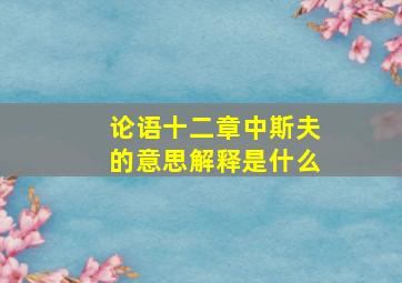 论语十二章中斯夫的意思解释是什么