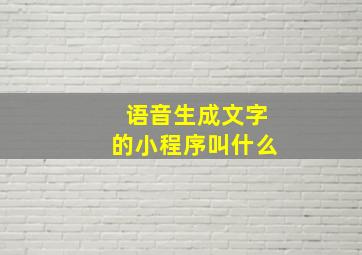 语音生成文字的小程序叫什么