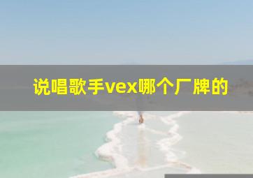 说唱歌手vex哪个厂牌的