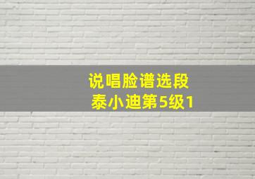 说唱脸谱选段泰小迪第5级1