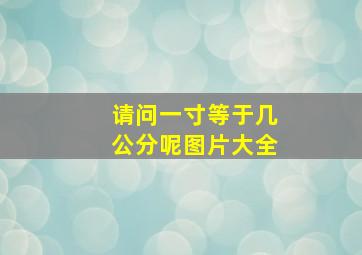 请问一寸等于几公分呢图片大全