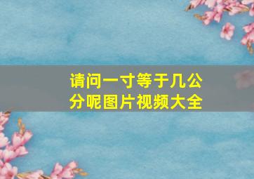 请问一寸等于几公分呢图片视频大全