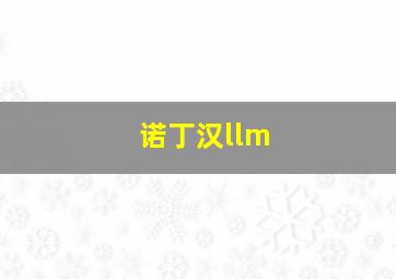 诺丁汉llm