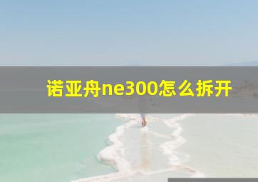 诺亚舟ne300怎么拆开