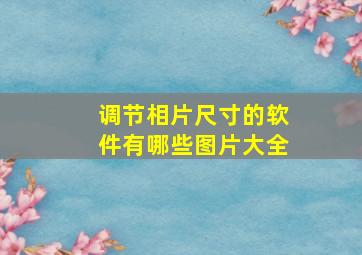 调节相片尺寸的软件有哪些图片大全