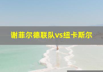 谢菲尔德联队vs纽卡斯尔