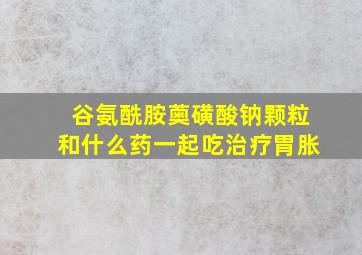 谷氨酰胺薁磺酸钠颗粒和什么药一起吃治疗胃胀