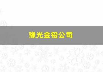 豫光金铅公司