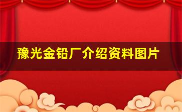 豫光金铅厂介绍资料图片