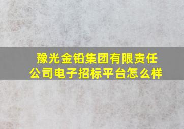 豫光金铅集团有限责任公司电子招标平台怎么样