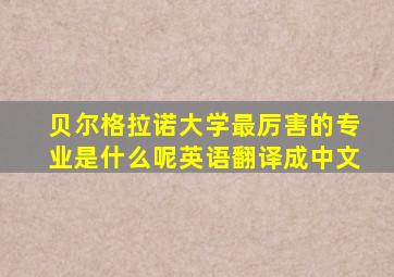 贝尔格拉诺大学最厉害的专业是什么呢英语翻译成中文