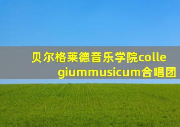 贝尔格莱德音乐学院collegiummusicum合唱团