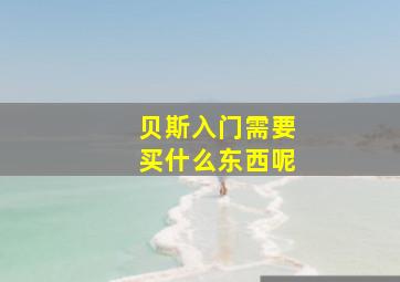 贝斯入门需要买什么东西呢