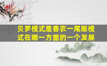 贝罗模式是香农一尾服模式在哪一方面的一个发展