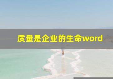 质量是企业的生命word