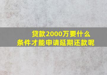 贷款2000万要什么条件才能申请延期还款呢