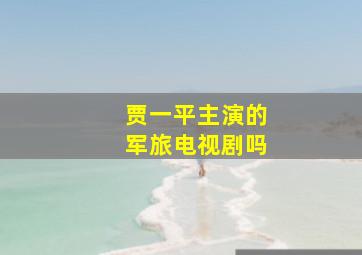 贾一平主演的军旅电视剧吗