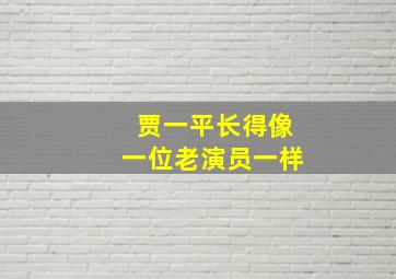 贾一平长得像一位老演员一样