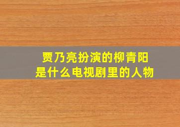 贾乃亮扮演的柳青阳是什么电视剧里的人物