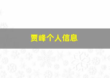 贾峰个人信息