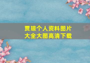 贾琼个人资料图片大全大图高清下载