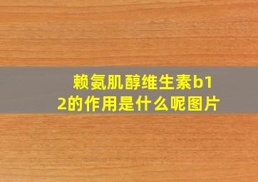 赖氨肌醇维生素b12的作用是什么呢图片