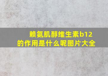 赖氨肌醇维生素b12的作用是什么呢图片大全