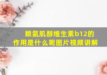 赖氨肌醇维生素b12的作用是什么呢图片视频讲解