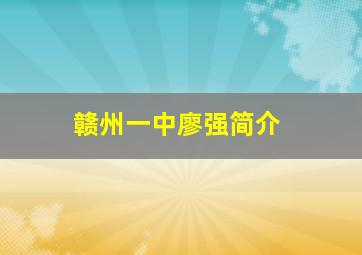 赣州一中廖强简介