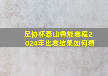 足协杯泰山鲁能赛程2024年比赛结果如何看