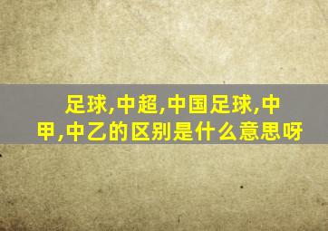 足球,中超,中国足球,中甲,中乙的区别是什么意思呀