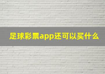 足球彩票app还可以买什么