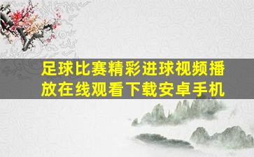 足球比赛精彩进球视频播放在线观看下载安卓手机