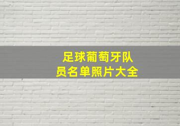 足球葡萄牙队员名单照片大全