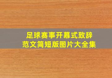 足球赛事开幕式致辞范文简短版图片大全集