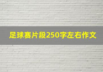 足球赛片段250字左右作文