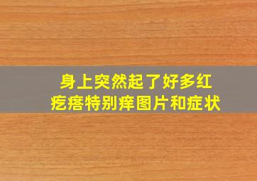 身上突然起了好多红疙瘩特别痒图片和症状