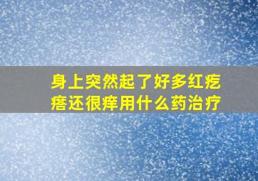 身上突然起了好多红疙瘩还很痒用什么药治疗