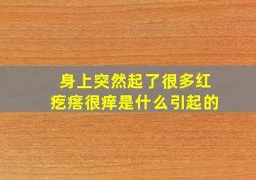 身上突然起了很多红疙瘩很痒是什么引起的